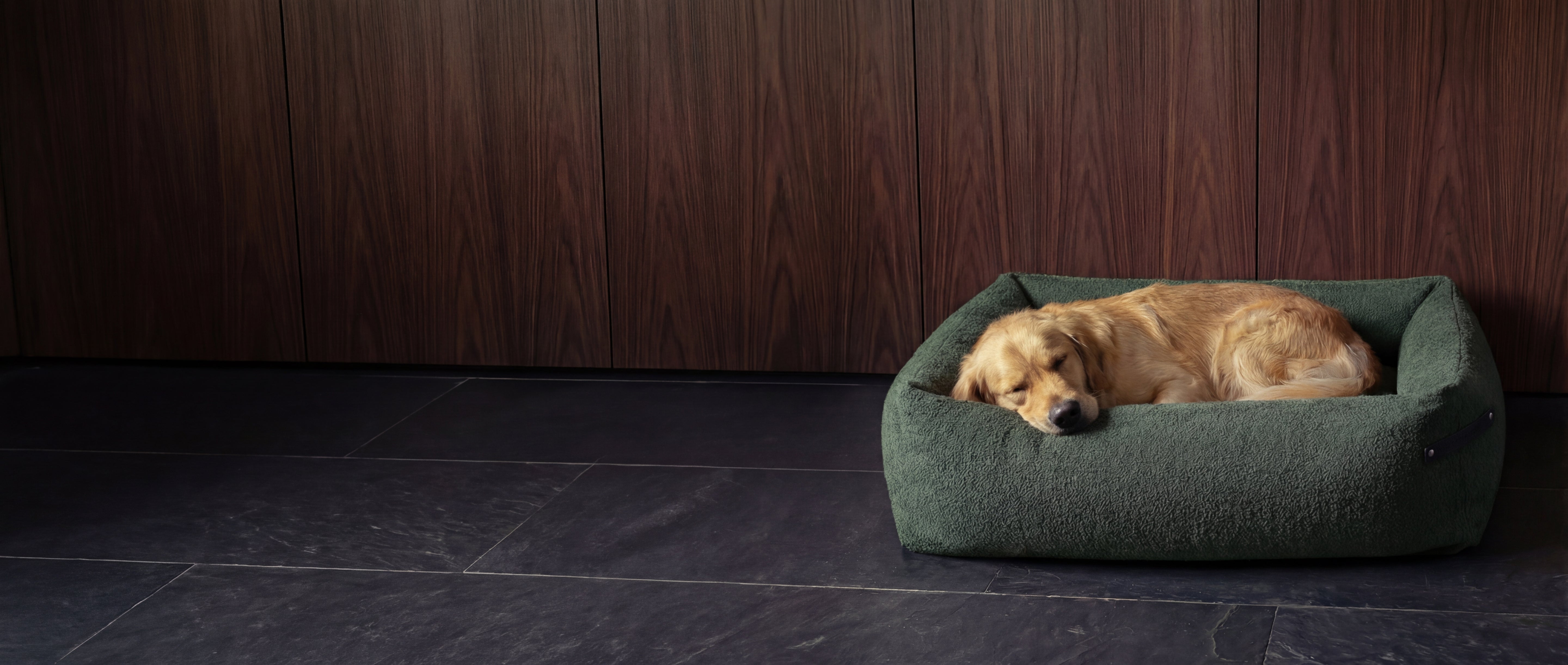 Pies śpiący w zielonym legowisku na ciemnej podłodze przed drewnianą ścianą.